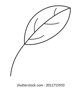 Leaf linear icon. Vector leaves logo. Black and white autumn leaf. Autumn leaves for your projects, illustrations, websites. 