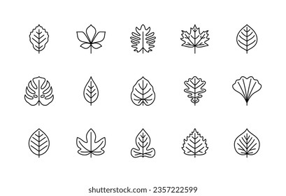 Leaf linear icons vector set. Isolated collection of leaves for creating logos, web design, illustrations, printed products and more. Line icons of leaves of different types of plants.