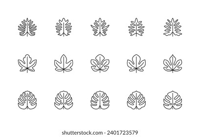 Leaf linear icons vector set. Philodendron bipinnate, monstera, figs. Isolated collection of leaves linear icons for creating logos, illustrations, web design, printed products and more.