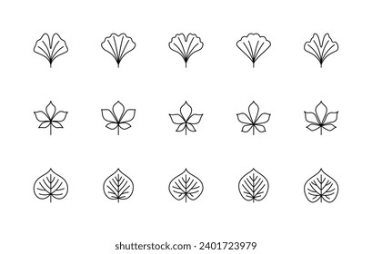 Leaf linear icons vector set. Ginkgo biloba, chestnut, linden. Nature symbols. Isolated collection of leaves linear icons for creating logos, illustrations, web design, printed products and more.