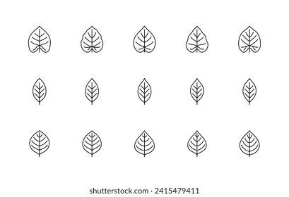 Leaf linear icons vector set. Philodendron acutifolium, cherry, apple. Isolated collection of leaves linear icons for creating logos, illustrations, web design, printed products and more.