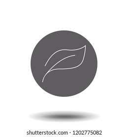 leaf linear icon.Trendy flat ui sign design, graphic pictogram.