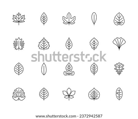 Leaf linear vector icons. Nature and ecology. Maple, cherry, figs, olive, philodendron, birch, ash, beech, ginkgo biloba and many others. Isolated outline of leaves plants on a white background.
