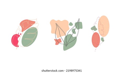 Leaf lines on abstract pastel shapes.