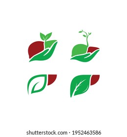 Leber-Spross-Logo, Vektorvorlage