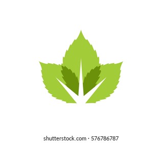 Leaf logo