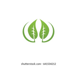 Leaf Logo