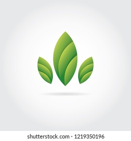 Leaf Logo Abstract Colorful