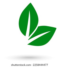Leaf logo and banner for company lettering
