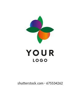 Leaf logo with berries. Logotype. Vector.