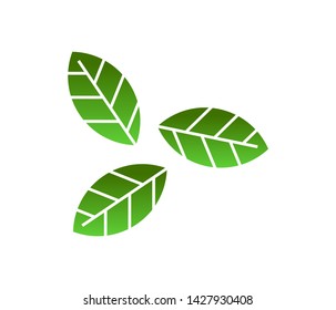 Leaf logo, botanical logo design. leaves icon vector illustration