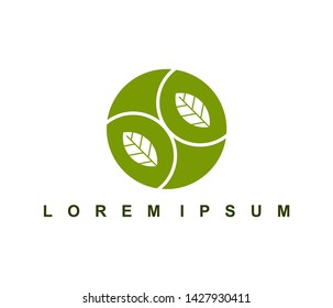 Leaf logo, botanical logo design. leaves icon vector illustration