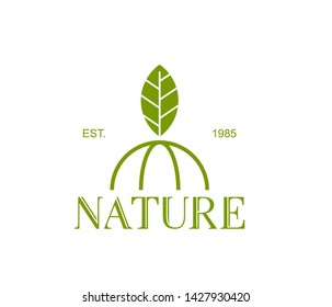 Leaf logo, botanical logo design. leaves icon vector illustration