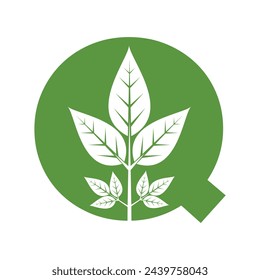 Logotipo de hoja combinado con la letra Q plantilla de vector