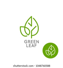 Leaf logo concept. Green leaf line on white background