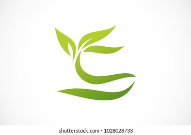 leaf logo design