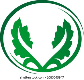 leaf logo design