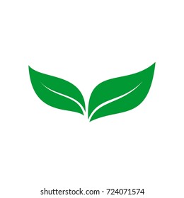 Leaf Logo Design