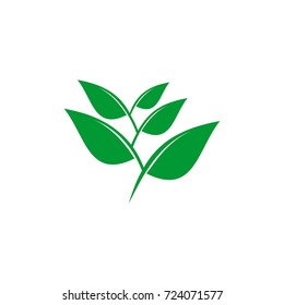 Leaf Logo Design