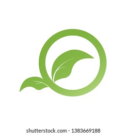 a leaf logo design, circle