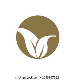 leaf logo design for cosmetic,herb and organic-vector illustration on white background