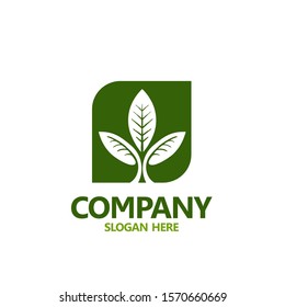 Leaf logo design for farm product. Green leaves logo concept. Ecology leaves go green logo vector