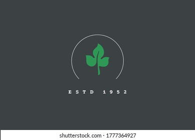 Leaf logo design. Green plant flower organic brand sign, minimal rustic branch monogram drawing, vector illustration 