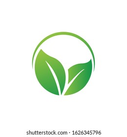 leaf logo design for health and organic company.vector design template element