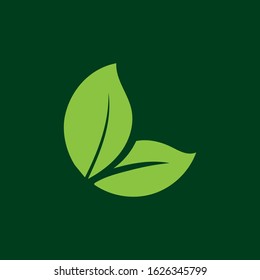 leaf logo design for health and organic company.vector design template element