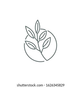 leaf logo design for health and organic company.vector design template element