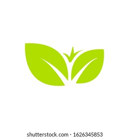 leaf logo design for health and organic company.vector design template element
