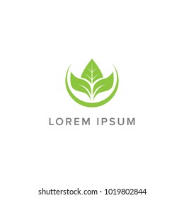 Leaf Logo Design for Healthcare Logo