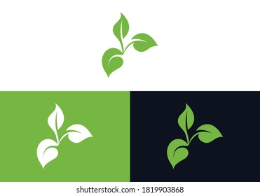 Leaf Logo Design and Leaf Icon Design