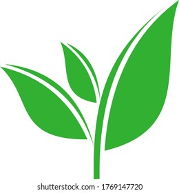 icono de diseño del logotipo de la hoja. Establezca el icono Hoja en un fondo blanco. Ilustración vectorial.