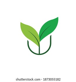inspiración para el diseño del logo de la hoja, aislado en fondo blanco