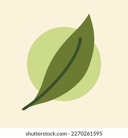 Leaf logo design inspiration, Tea leaf vector isolated on cream background.
