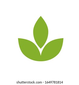 leaf logo design modern template