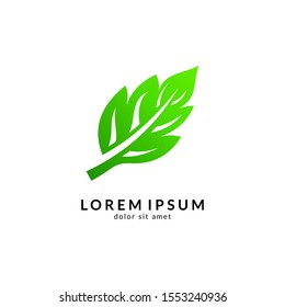 Leaf Logo Design. Nature And Environmental Icon. Health Care And Spa Symbol. Organic Food And Nutrition Vector