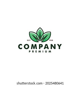 Leaf logo design nature icon vector logotype