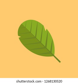 leaf logo design. symbol.