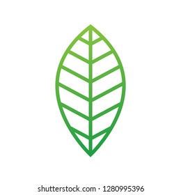 Leaf logo design. symbol.