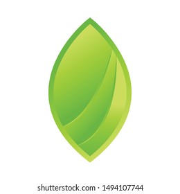 Leaf logo design. leaf symbol. business logo.