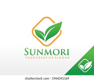 Leaf Logo design. Tea Logo design vector