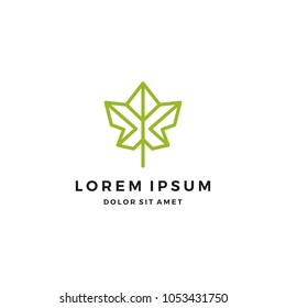 Leaf Logo Design Template