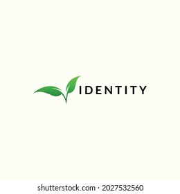 leaf logo design. logo template