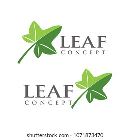 Leaf logo design template vector illustration