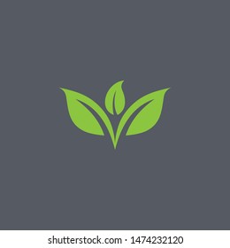 Leaf logo design template vector spa & esthetics