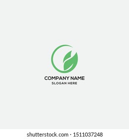 leaf logo design template. vector
