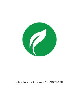 Leaf Logo Design Template Vector 