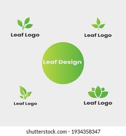 Leaf Logo Design Template. Vector